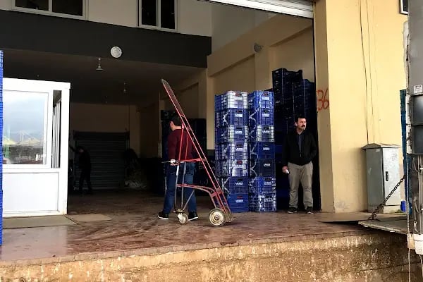 DEMRE SEBZE MEYVE KOMİSYONCULUĞU HAL NO 36 - Resim 4