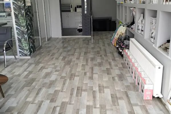 BASINEVLERİ VETERİNER KLİNİĞİ - Resim 16