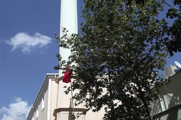 İç Erenköy Ali Gazi Baba Cami - Resim 10