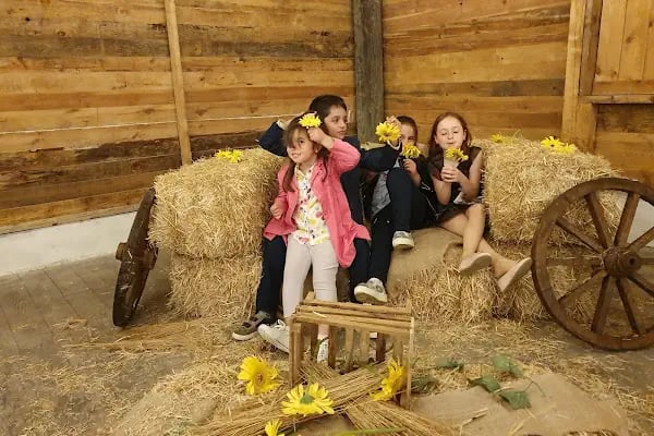 Masal Garden Kır Düğünü ve Yöresel Kahvaltı Bahçesi - Resim 9