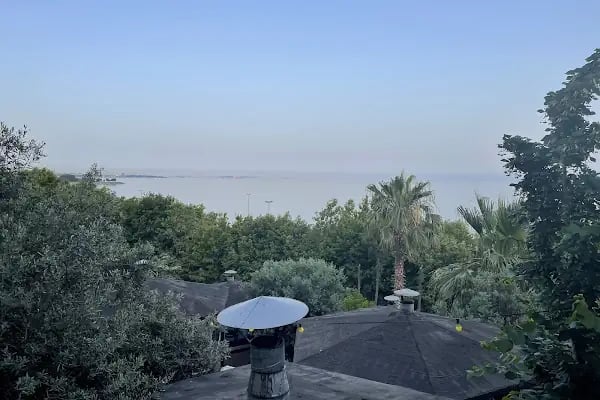 Tropicano Mangal - Resim 10