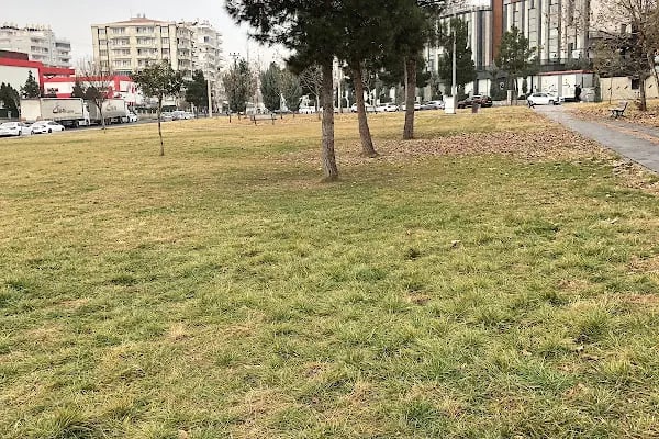 Diyarbakır il göç idaresi - Resim 4