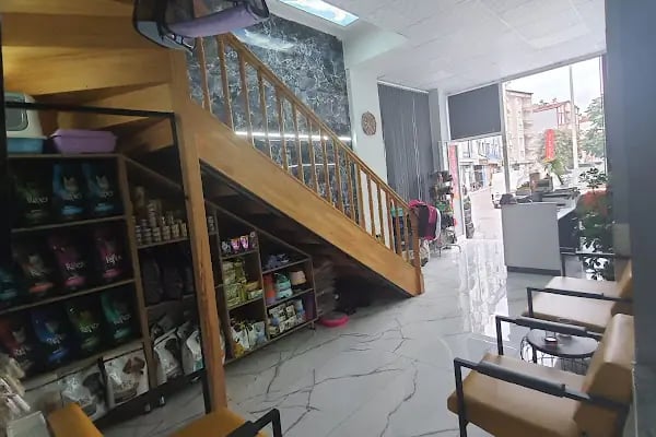 İnci Veteriner Kliniği ‍ ‍ - Resim 14