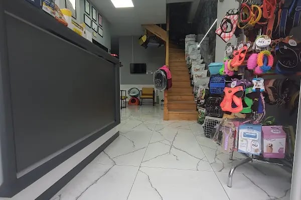İnci Veteriner Kliniği ‍ ‍ - Resim 10