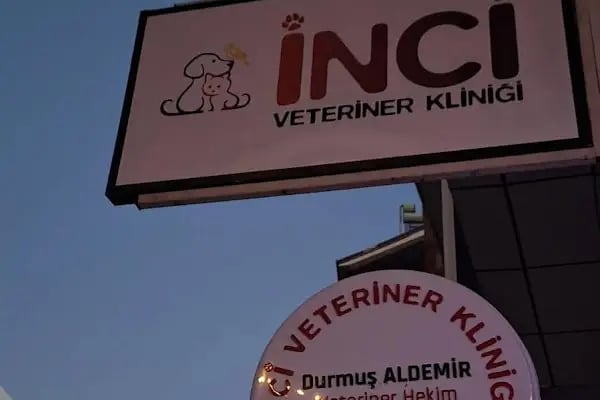 İnci Veteriner Kliniği ‍ ‍ - Resim 16
