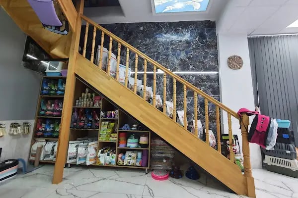 İnci Veteriner Kliniği ‍ ‍ - Resim 5