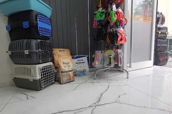 İnci Veteriner Kliniği ‍ ‍ - Resim 15