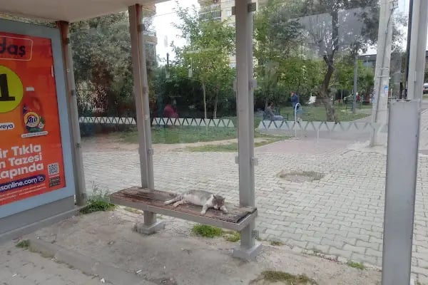 Bornova Sosyal Hizmet Merkezi - Resim 3