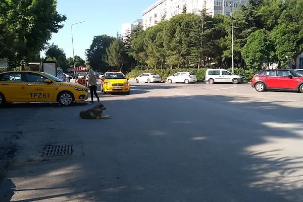 Ataköy Turizm Taksi - Resim 6