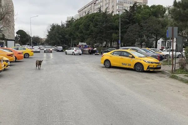 Ataköy Turizm Taksi - Resim 2