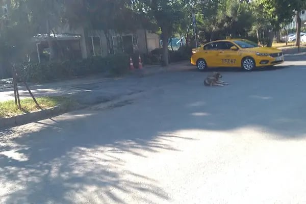 Ataköy Turizm Taksi - Resim 5