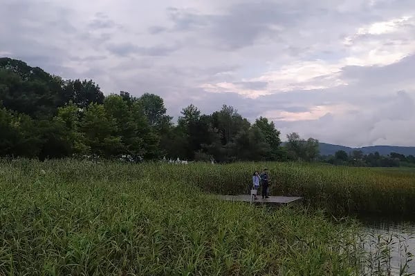 Seka kamp - Resim 12