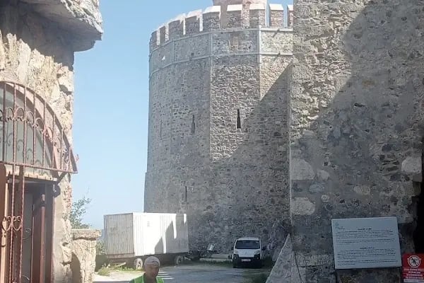 Sıla Fresh Muz - Resim 14