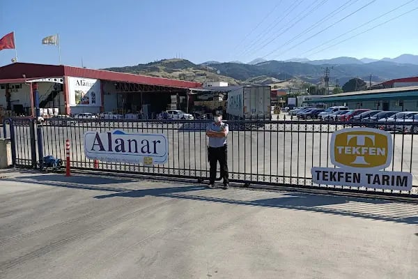 ALANAR MEYVE ve GIDA ÜRETİM PAZARLAMA SANAYİ TİC. A.Ş. - Resim 2
