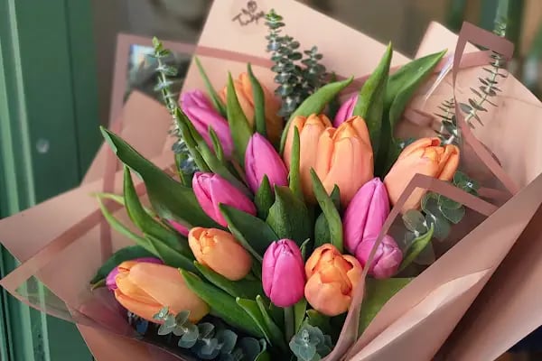 Tulipa Çiçekçilik - Resim 3