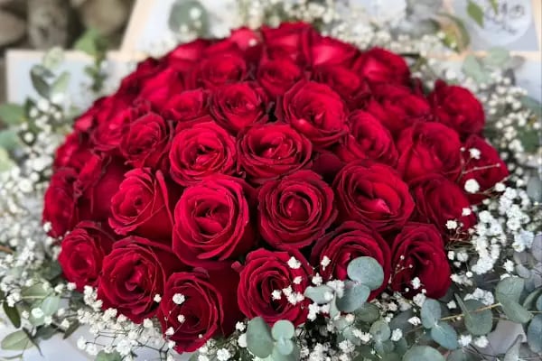 Tulipa Çiçekçilik - Resim 15
