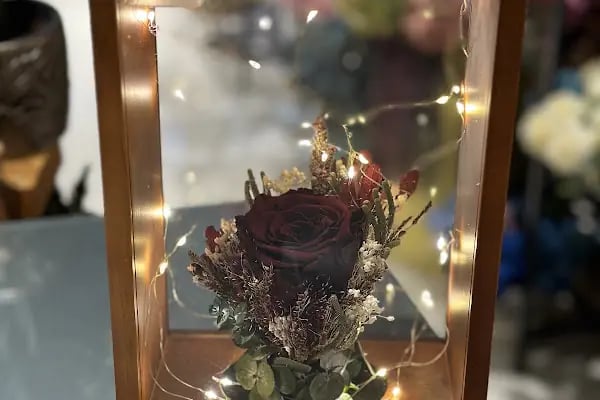Tulipa Çiçekçilik - Resim 5