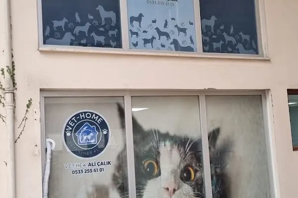 AYIŞIĞI VETERİNER KLİNİĞİ &amp; ARTEMİS VETERİNER KLİNİĞİ - Resim 18