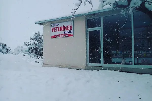 Ceyhan Veteriner Kliniği - Resim 11