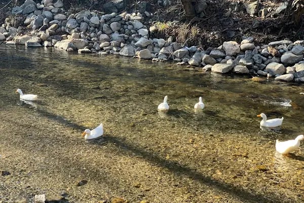 Kızılgeçit Restaurant Tesisleri - Resim 16