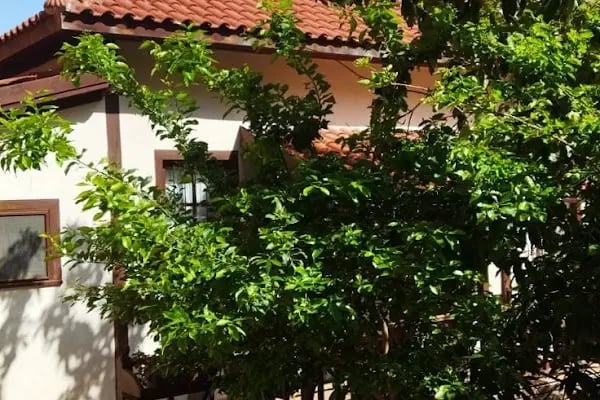 Burak Rent a car &amp; motorbike ALANYA - Resim 15