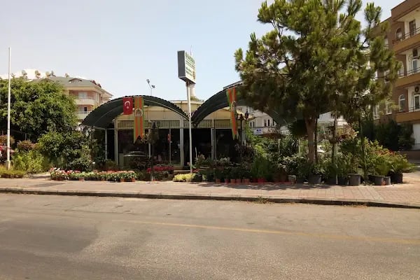 Burak Rent a car &amp; motorbike ALANYA - Resim 6