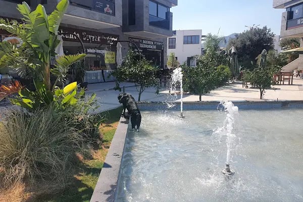 Bodrum İskendercisi - Resim 11