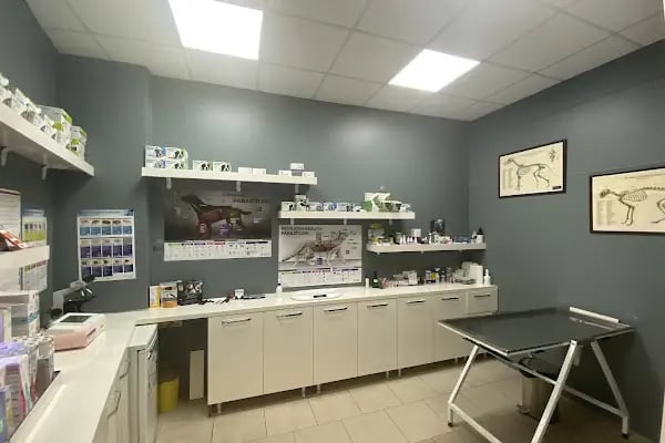 manisa veteriner polikliniği - Resim 18