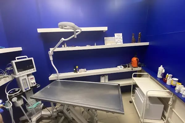 manisa veteriner polikliniği - Resim 10