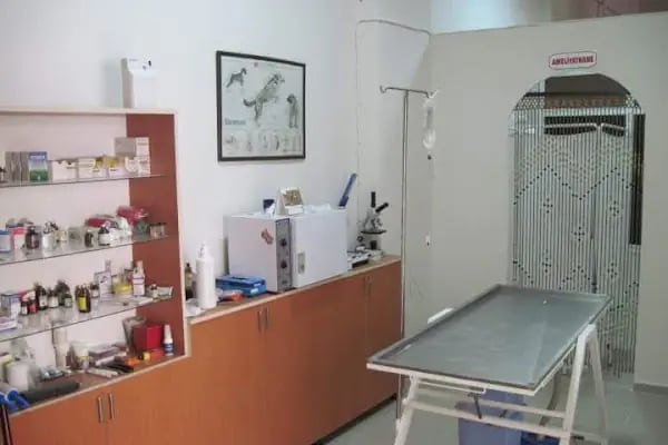 manisa veteriner polikliniği - Resim 5
