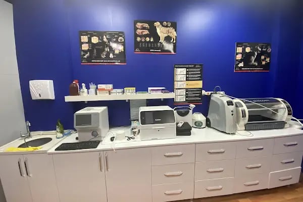 manisa veteriner polikliniği - Resim 12