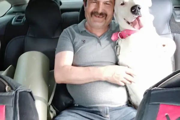 manisa veteriner polikliniği - Resim 9