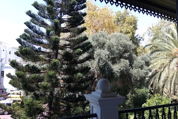KUYULARÖNÜ CAMİ - Resim 11
