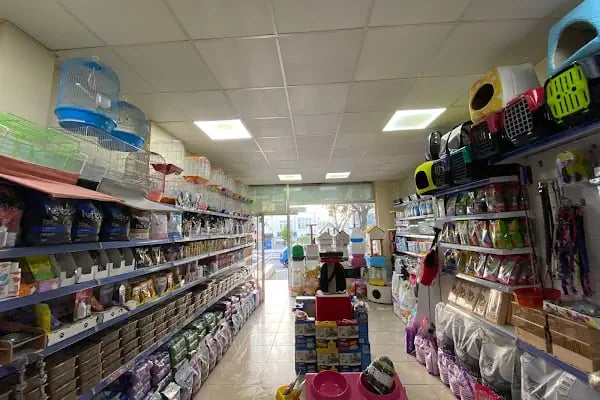 Eser Petshop - Resim 3