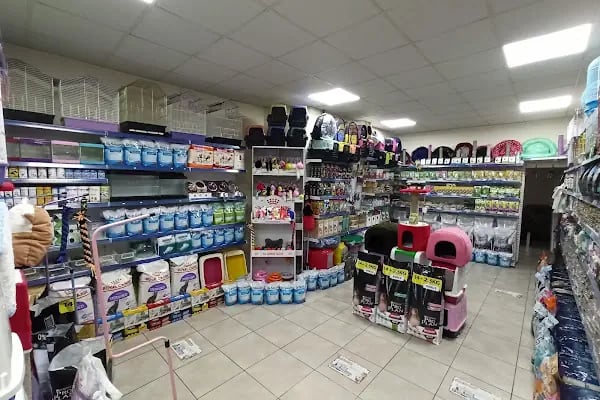 Eser Petshop - Resim 15