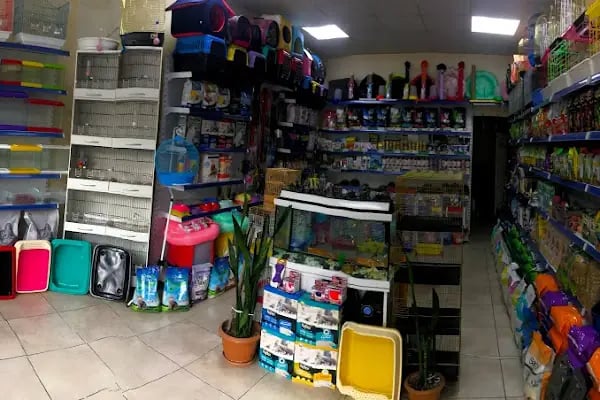 Eser Petshop - Resim 5