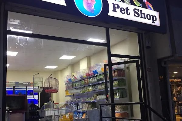 Eser Petshop - Resim 14
