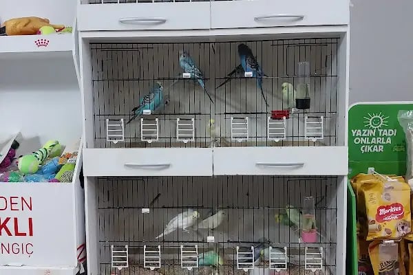 Eser Petshop - Resim 10