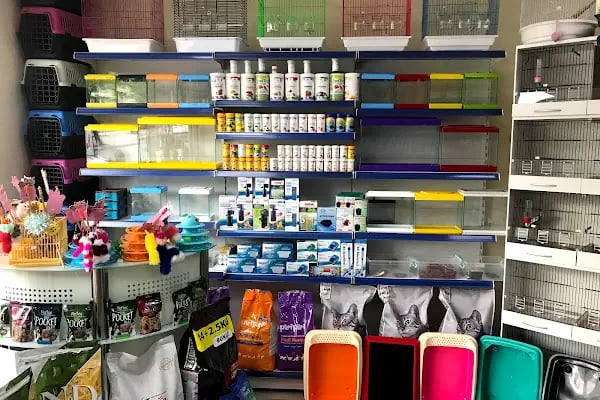 Eser Petshop - Resim 11
