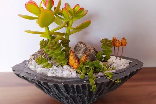 Aden Flowers - Resim 19