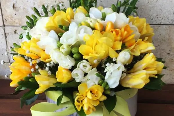 Aden Flowers - Resim 12