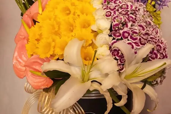Aden Flowers - Resim 5