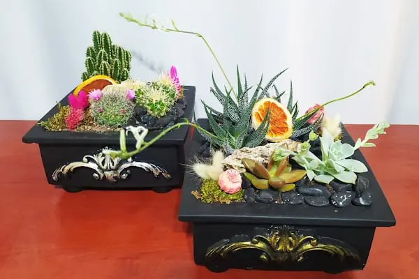 Aden Flowers - Resim 16