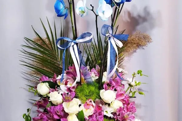 Aden Flowers - Resim 10