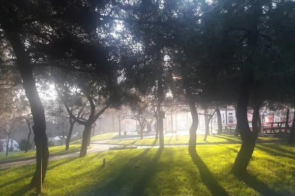 ATAŞEHİR BELEDİYESİ 30 AĞUSTOS PARKI - Resim 4