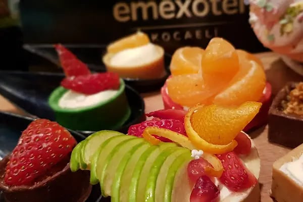 emexotel Kocaeli - Resim 18
