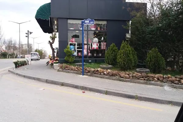 Eryaman Çiçekçi.. Hazal Çiçekçilik - Resim 19