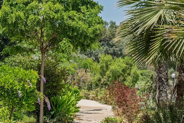 Yalıçapkını Boutique Hotel - Resim 16
