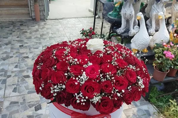 YENİMAHELLE / ANKARA ÇİÇEKÇİM ÜNVERCE ÇİÇEK TASARIM VE ÇİKOLOTA - Resim 8