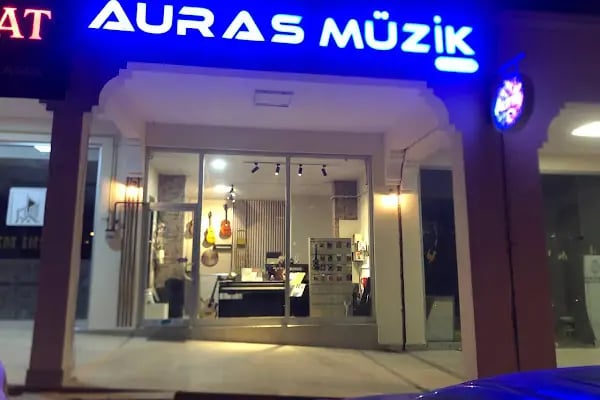 Auras Sanat Akademisi - Resim 3